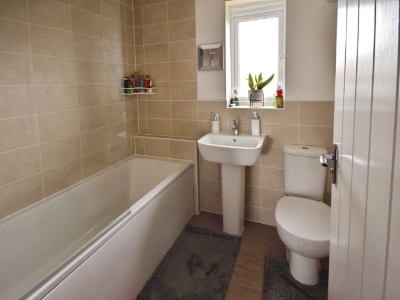 Picture 14